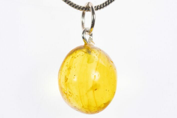 Polished Baltic Amber Pendant (Necklace) - Contains Insect! #328550
